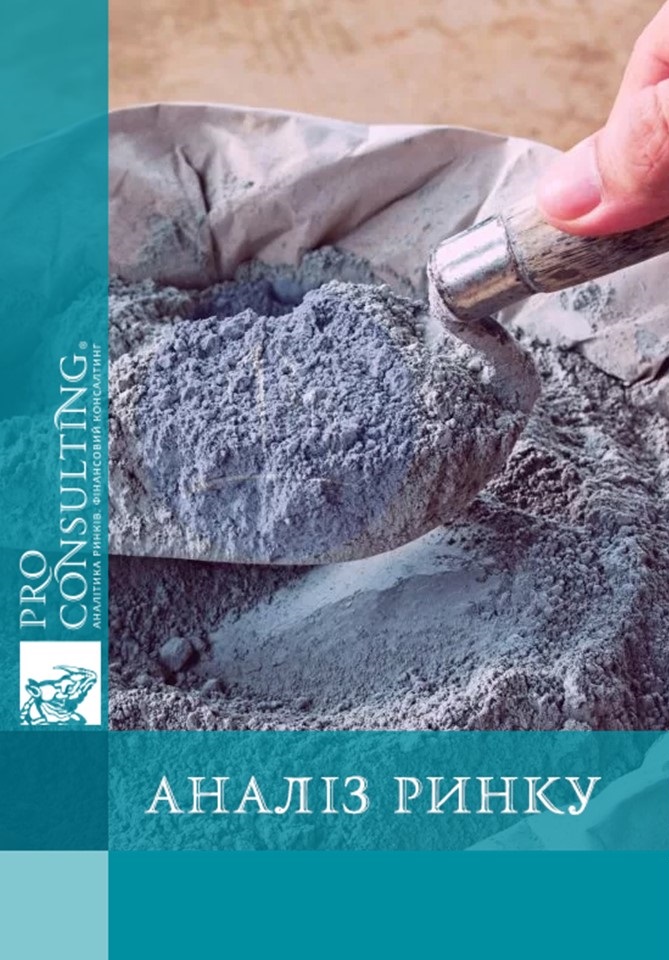 Аналіз ринку сухих будівельних сумішей України. 2021 рік